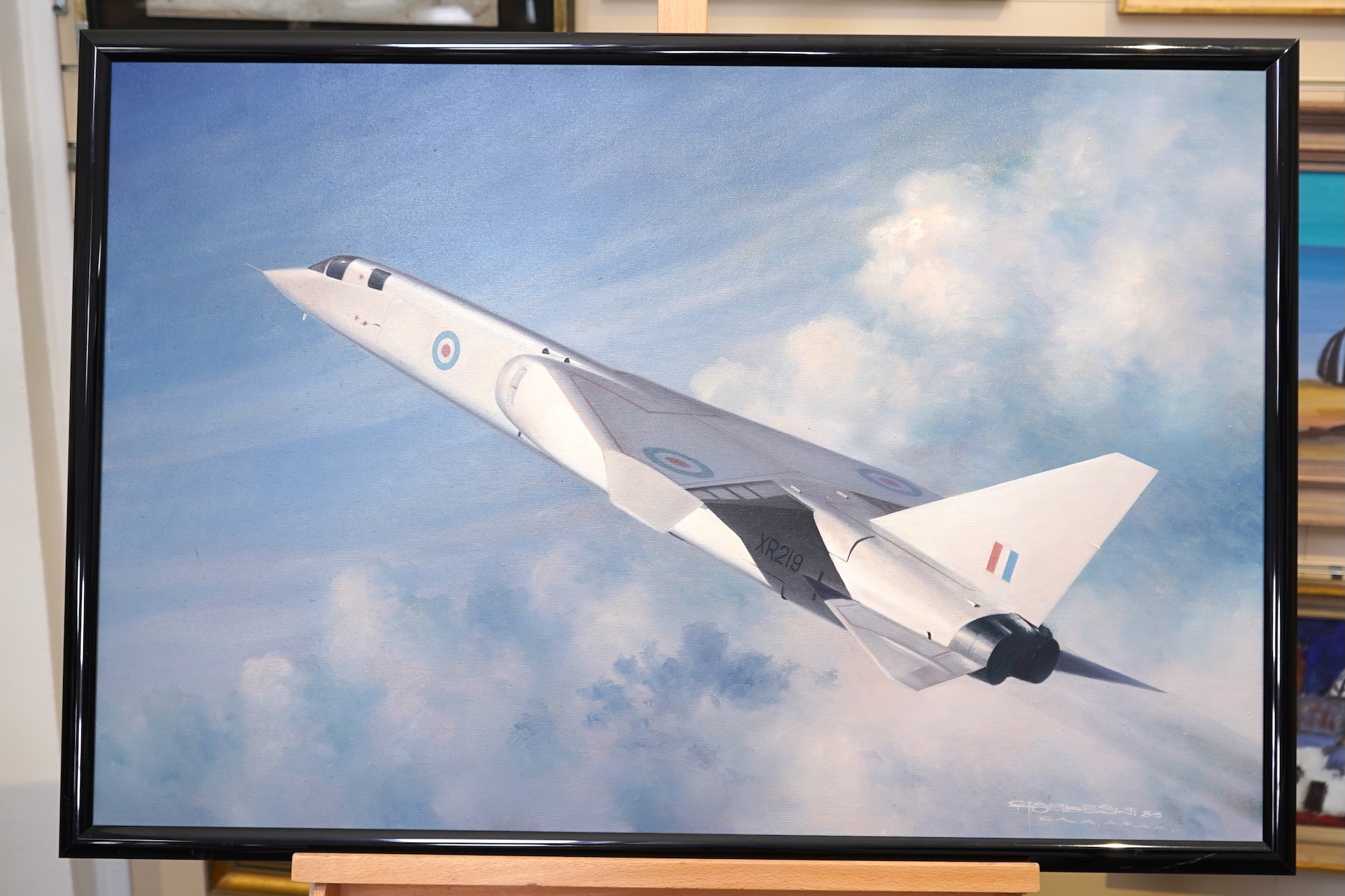 Charles Thompson, (b. 1931), A BAC TSR-2 reconnaissance aircraft in flight